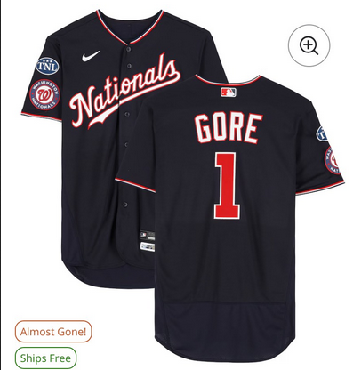Men Washington Nationals #1 Gore blue Nike jersey->boston red sox->MLB Jersey